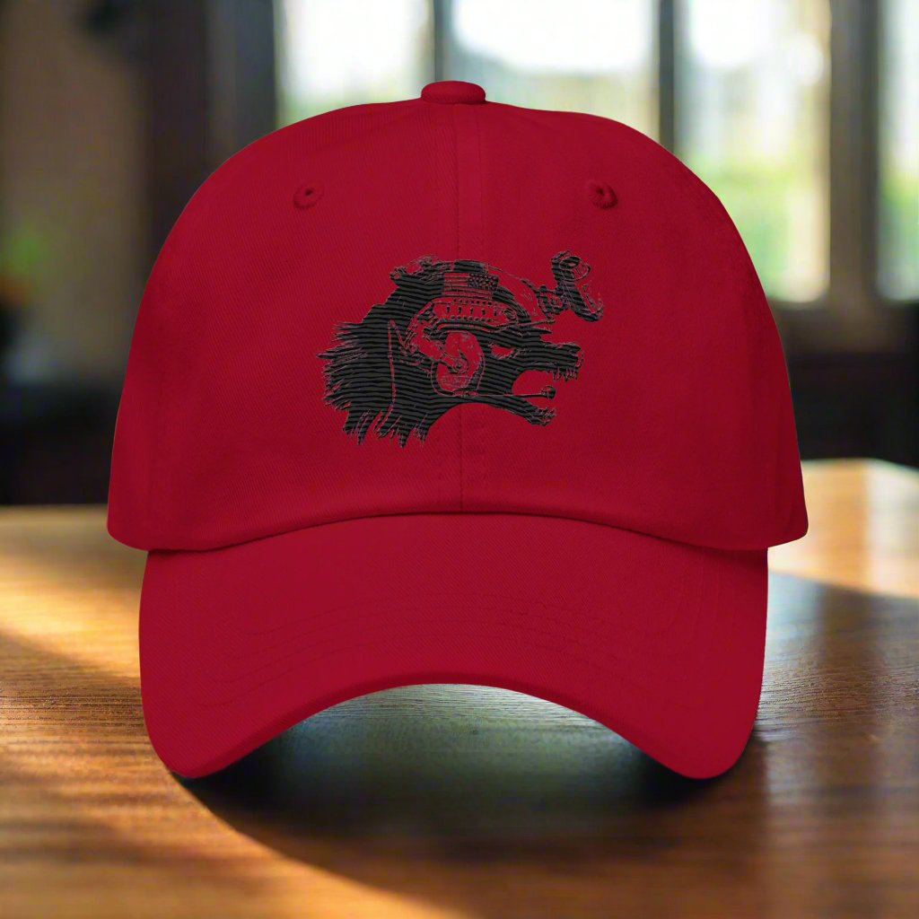 a baseball cap