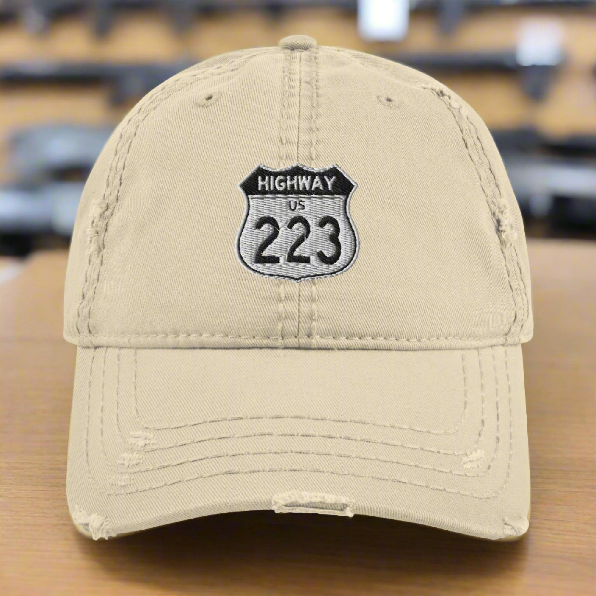 highway 223 dad hat